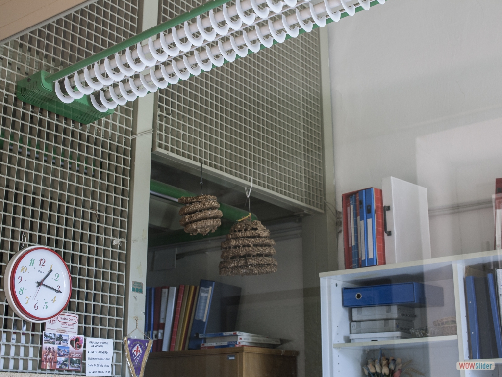 Osservatorio Astrofisico di Arcetri_Enrico Libutti -21