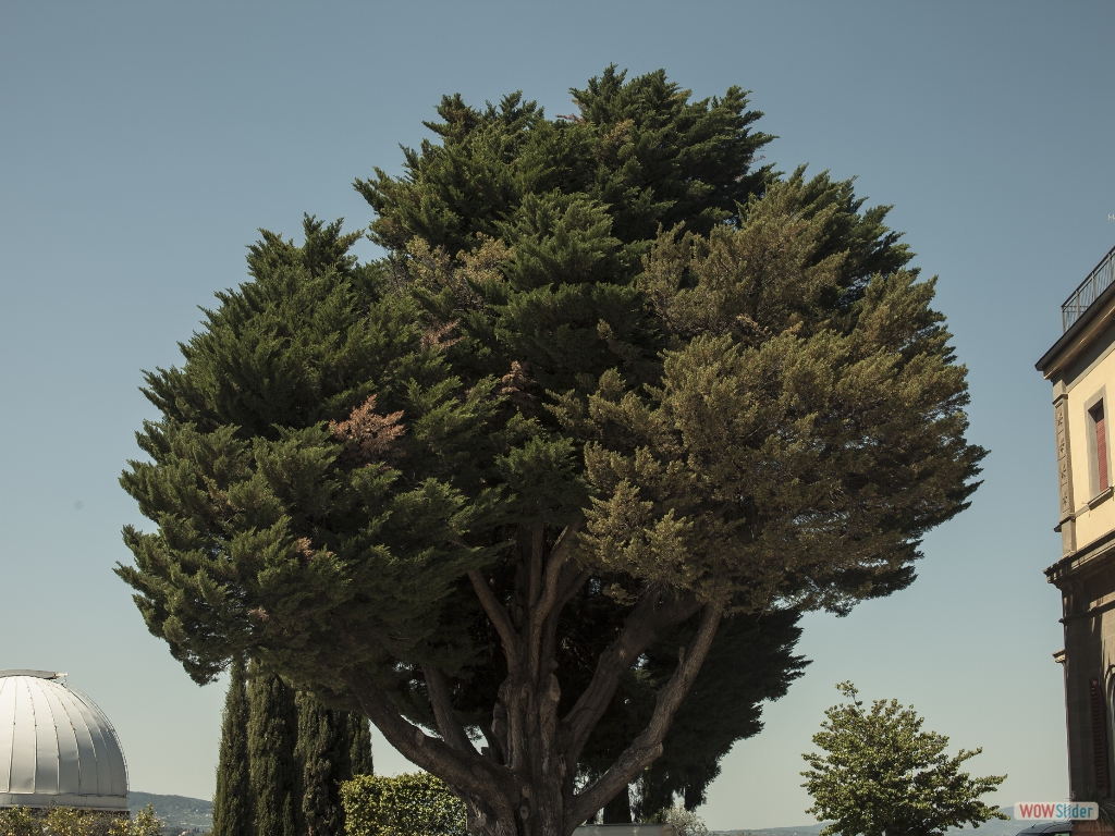 Osservatorio Astrofisico di Arcetri_Enrico Libutti -24