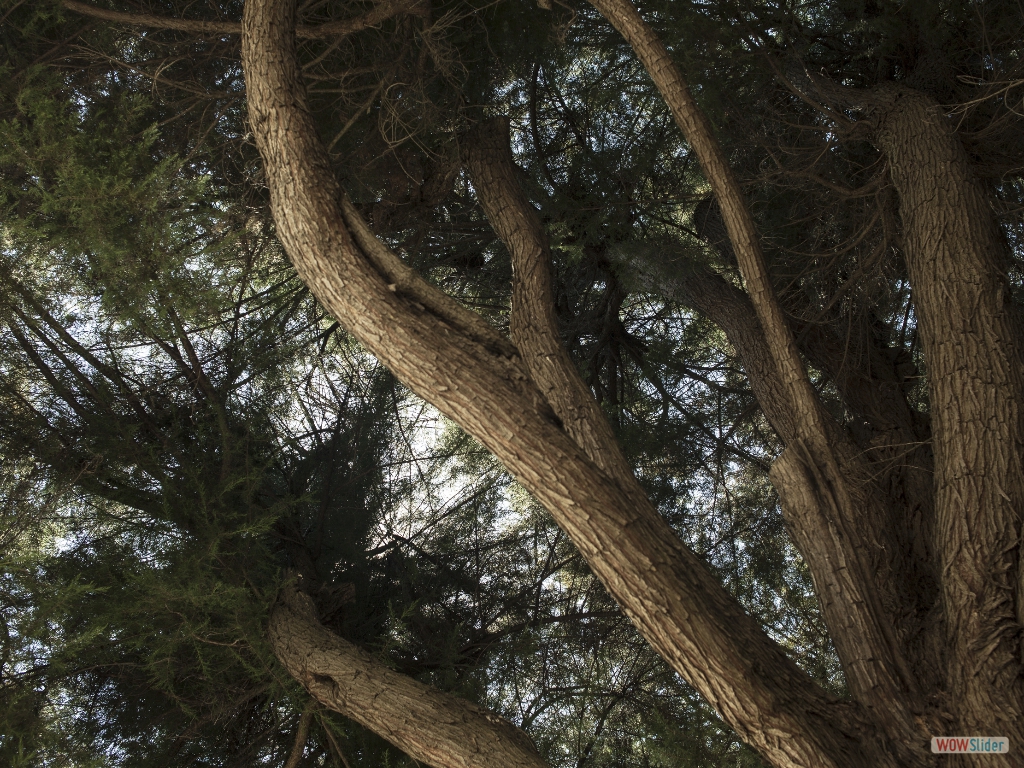 Osservatorio Astrofisico di Arcetri_Enrico Libutti -32